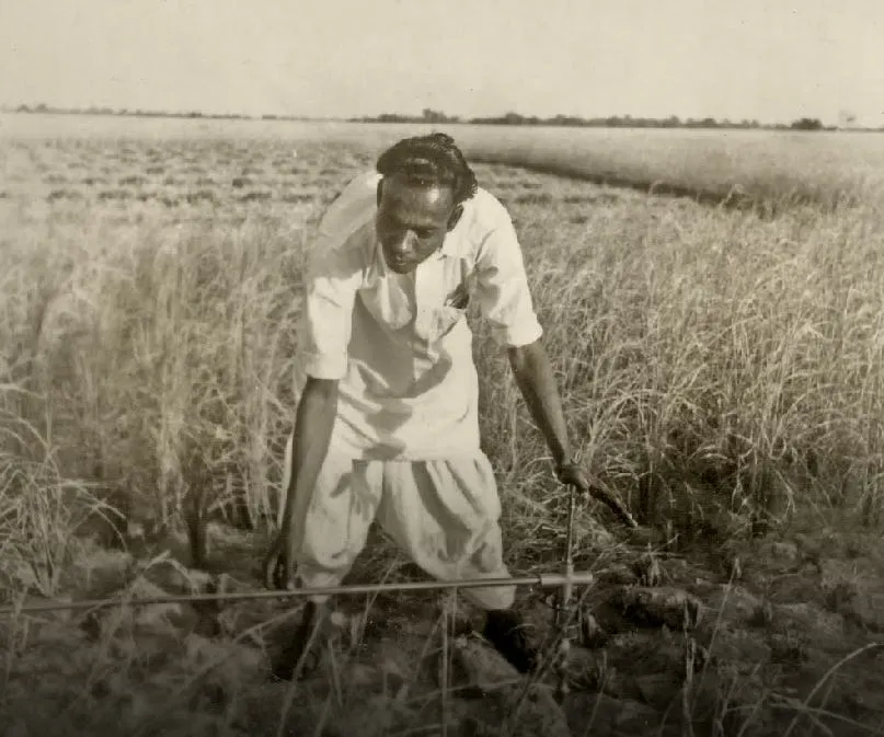 surveyors at work in a bengal field